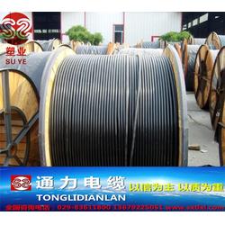 陜西電纜廠的黑皮架空線與略陽(yáng)縣電子設(shè)備及零配件的協(xié)同發(fā)展